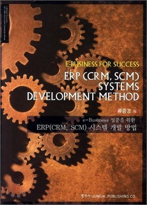 ERP(CRM SCM) 시스템 개발 방법