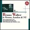 Bruno Walter 브루노 발터가 지휘하는 빈, 런던, 뉴욕 필하모닉 오케스트라 (In Vienna, London & NY)