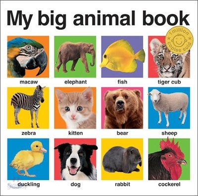 My Big Animal Book