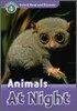 Read and Discover 4: Animals at Night