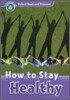 Read and Discover 4: How To Stay Healthy
