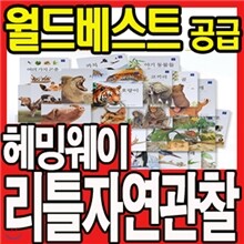 [한국헤밍웨이] 리틀자연관찰 (전80권)