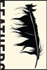 Feathers: The Evolution of a Natural Miracle