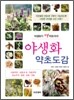 야생화 약초도감