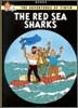 The Red Sea Sharks