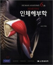 인체해부학