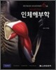 인체해부학