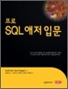 프로 SQL 애저 입문