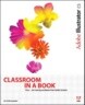 Adobe Illustrator CS Classroom in a Book with CDROM