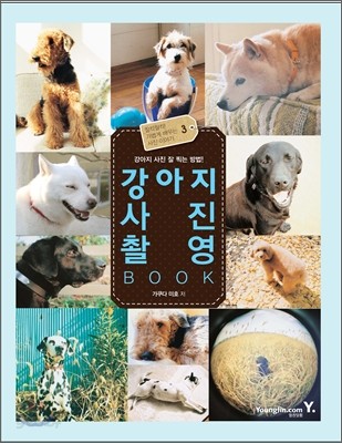 강아지 사진 촬영 BOOK