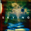 Horrors - Skying (2LP)