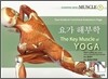 요가 해부학