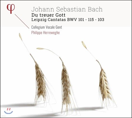 Philippe Herreweghe 바흐: 진실한 주여 - 라이프치히 칸타타 작품집 (J.S. Bach: Du Treuer Gott - Leipzig Cantatas BWV101, 115 & 103)