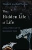 The Hidden Life of Life: A Walk Through the Reaches of Time