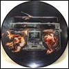 Green Day (그린 데이) - Revolution Radio [픽쳐 디스크 LP]