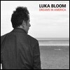Luka Bloom (루카 블룸) - Dreams In America [LP]