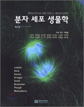 분자 세포 생물학