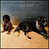 And So I Watch You From Afar - Endless Shimmering (LP)