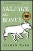 Salvage the Bones
