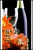 잊을 수 없는 당신