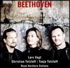 Lars Vogt / Christian & Tanja Tetzlaff 베토벤: 3중 협주곡, 피아노 협주곡 3번 (Beethoven: Triple Concerto, Piano Concerto)