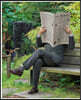 Rodney Graham a Lightboxes