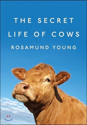 The Secret Life of Cows