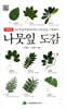 나뭇잎 도감