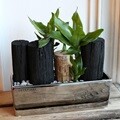 천연가습기 고급화기에 담긴 공기정화식물과 숯(L)
