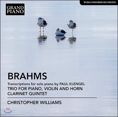 Christopher Williams 브람스: 바이올린, 혼, 피아노를 위한 삼중주, 클라리넷 오중주 [피아노 편곡] (Brahms: Transcriptions For Piano By P. Klengel)