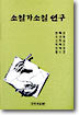 소설가소설 연구