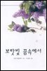 보랏빛 꿈속에서