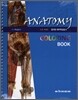 아니토미 ANATOMY