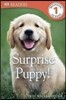 DK Readers L1: Surprise Puppy