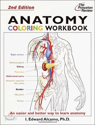 Anatomy Coloring Workbook, 2/E