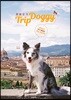 트립도기 Trip Doggy