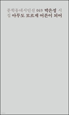 아무도 모르게 어른이 되어- 문학동네시인선 069