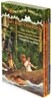 Magic Tree House Books 5-8 Boxed Set: Night of the Ninjas; Afternoon on the Amazon; Sunset of the Sabertooth; Midnight on the Moon