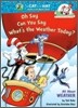 Oh Say Can You Say Whats the Weather Today
