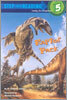 Raptor Pack