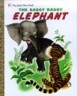 The Saggy Baggy Elephant