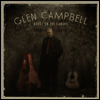 Glen Campbell - Ghost On The Canvas (LP)