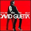 David Guetta (데이빗 게타) - Nothing But The Beat [2 LP]