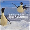 寫眞家だけが知っている動物たちの物語