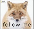 follow me ふゆのきつね