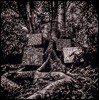 Kamasi Washington (카마시 워싱턴) - Harmony Of Difference