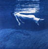 Bill Evans / Jim Hall (빌 에반스 / 짐 홀) - Undercurrent [LP]