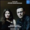 Andreas Scholl / Dorothee Oberlinger 바흐: 유명 칸타타와 브란덴부르크 협주곡 (Small Gifts - Johann Sebastian Bach)