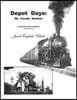 Depot Days: My Cicada Summer: A Memoir with a Mission