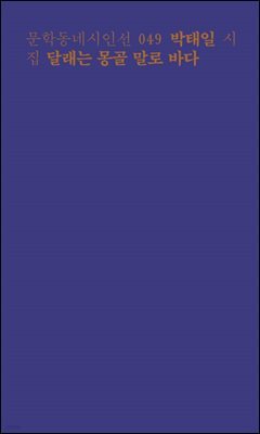 달래는 몽골 말로 바다 - 문학동네시인선 049